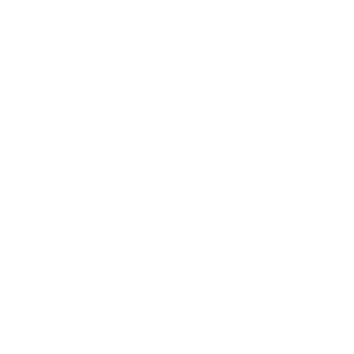 WhatsApp Icon