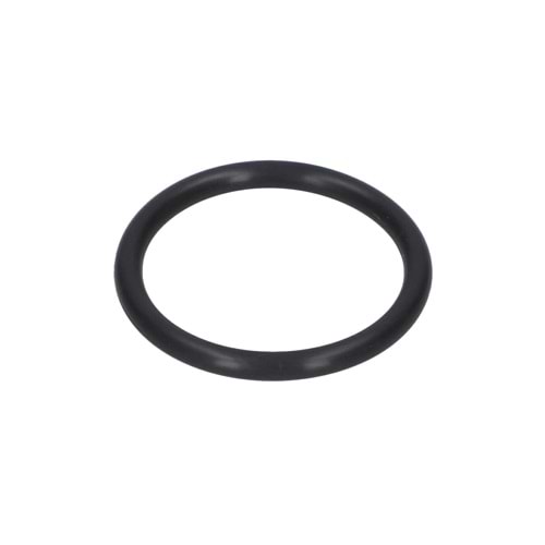 BOSCH GSH 16-30 POZ 165 ORİNG 1610210195