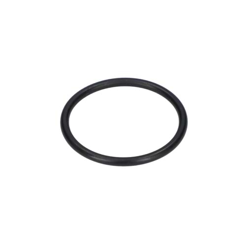 BOSCH GBH 11 DE POZ 114 ORİNG 1610210139